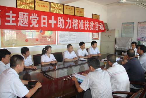 銅煤公司開展“主題黨日+助力精準扶貧”活動