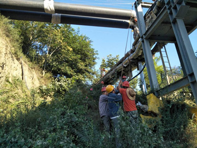 追趕超越，他們用行動爭做排頭兵