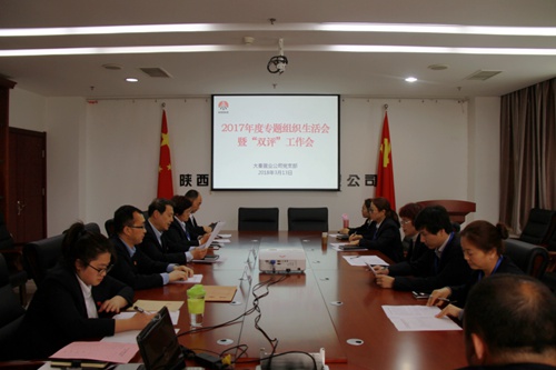 大秦置業(yè)公司：緊嚴(yán)并舉開(kāi)好黨支部2017年度專(zhuān)題組織生活會(huì)暨雙評(píng)工作會(huì)