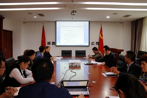 大秦置業公司黨委:嚴肅黨委會議事規則在行動