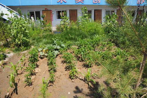 陜煤建設掘進公司：北翼項目部走出一條綠色發展路