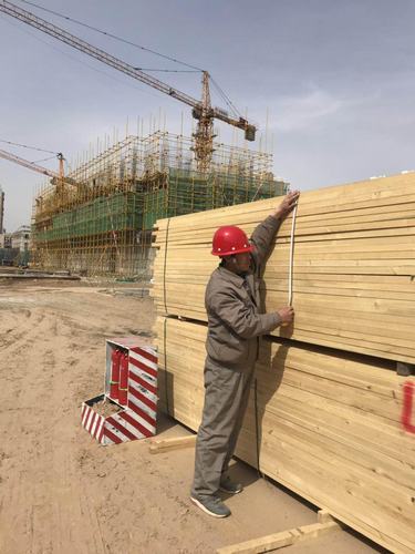 “百日會戰”中的銅煤建設人（七）