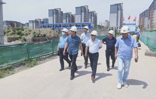 集團領導王寧蒞臨大秦山水逸境項目檢查指導工作