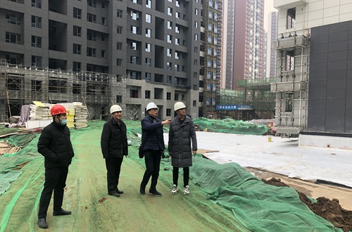 中國建筑標準設計研究院總建筑師劉東衛蒞臨藍山水岸項目參觀指導考察