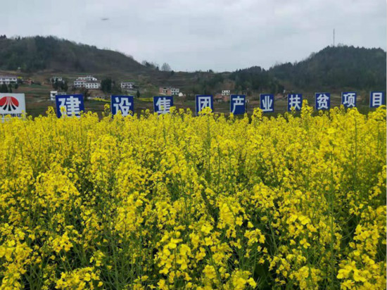 公司領導寧興剛、侯本英到扶貧定點幫扶村看望慰問困難群眾