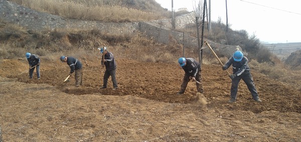 陜煤建設洗選煤運營公司左權洗煤廠項目部：春耕“小菜園”，播種幸福感