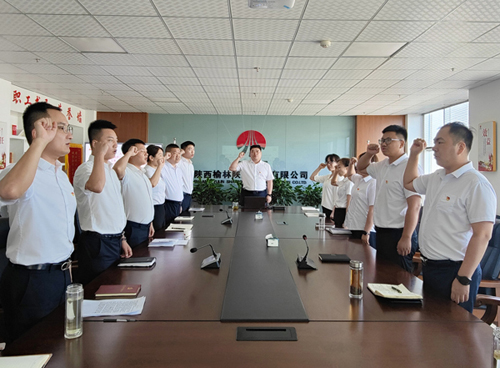 陜煤建設(shè)榆林公司黨支部開展“重溫入黨誓詞 堅(jiān)定理想信念”主題黨日活動(dòng)