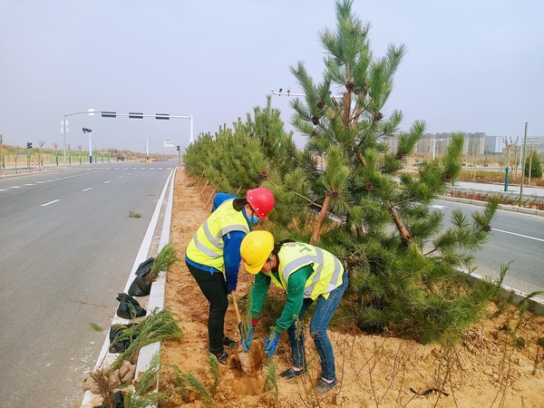 陜煤建設承建的科創新城市政一期工程N1項目經理部全面啟動綠化作業