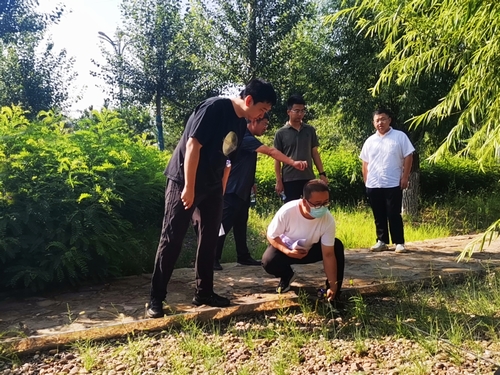 陜煤建設榆林公司承建的科創新城同慧運動公園項目綠化工程通過年度驗收