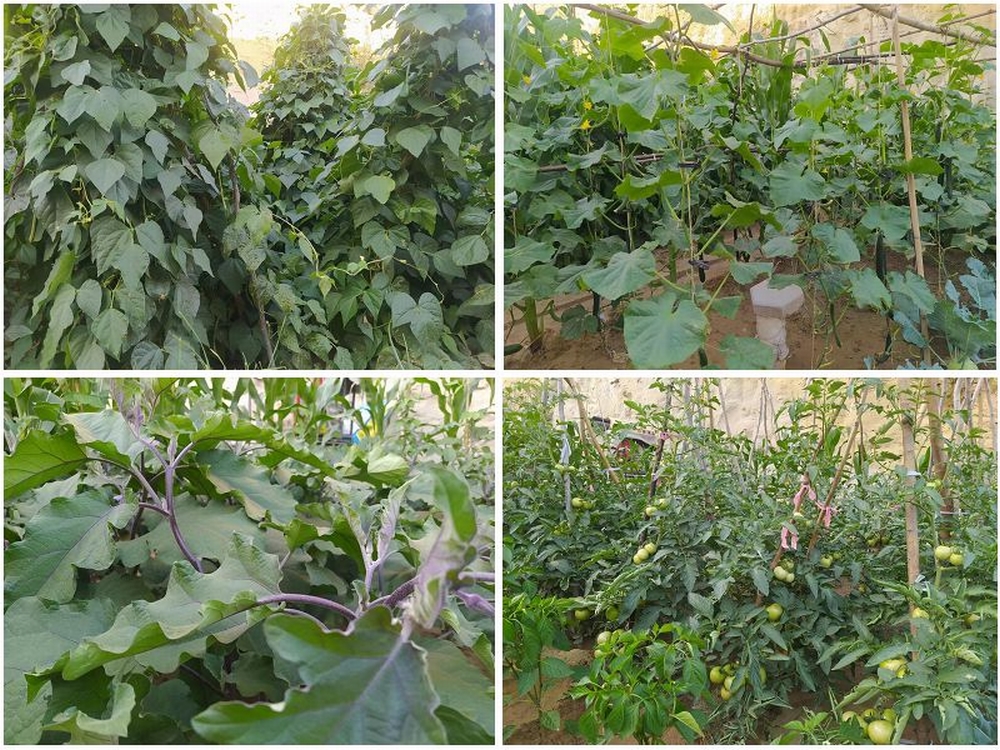 陜煤建設天工公司土建四部：雙手開辟幸福田   汗水澆灌暖心園