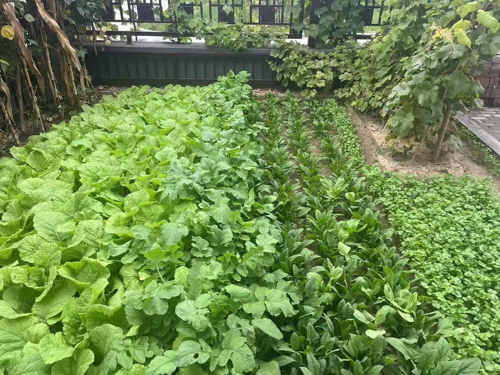 工地之上，家的溫度悄然綻放