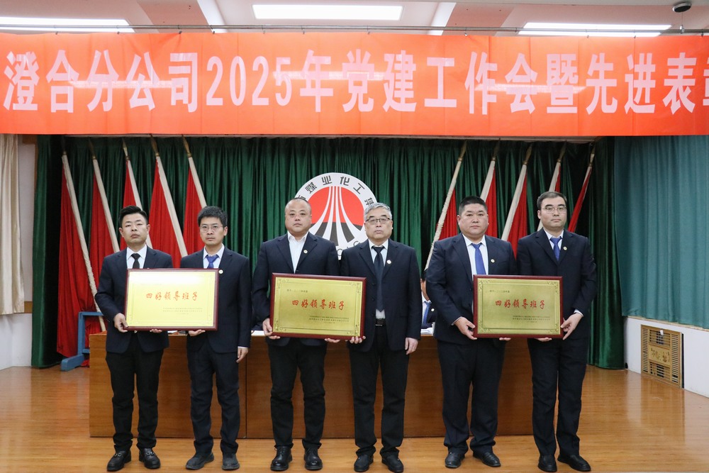 陜煤建設(shè)澄合分公司召開2025年黨建工作會(huì)暨先進(jìn)表彰會(huì)
