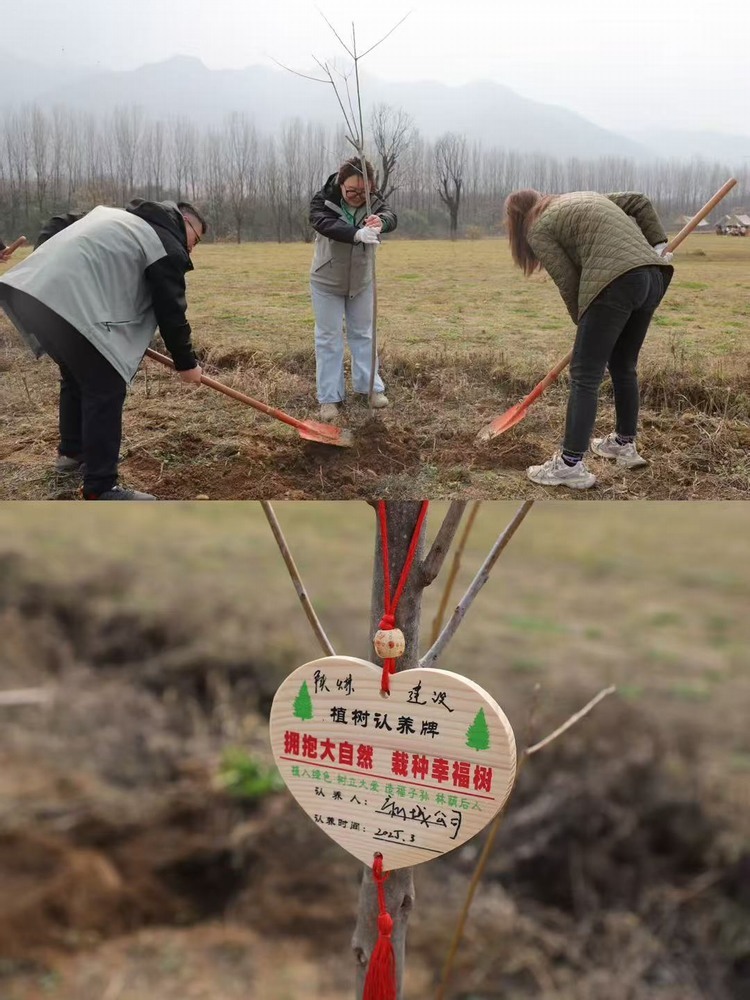 陜煤建設新城公司:“植”此青綠 共“樹”未來