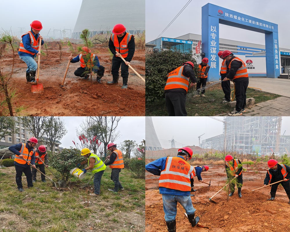 陜煤建設漢中分公司:為工地添綠 為環保賦能