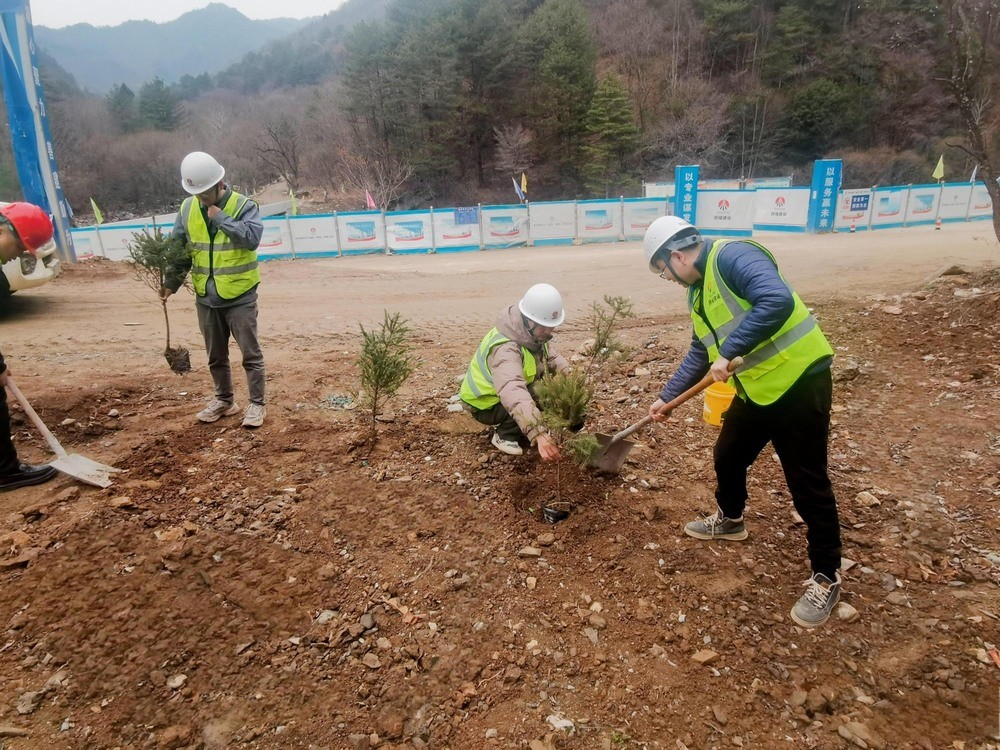 “植”此青綠,陜煤建設路橋分公司春風十里添新林