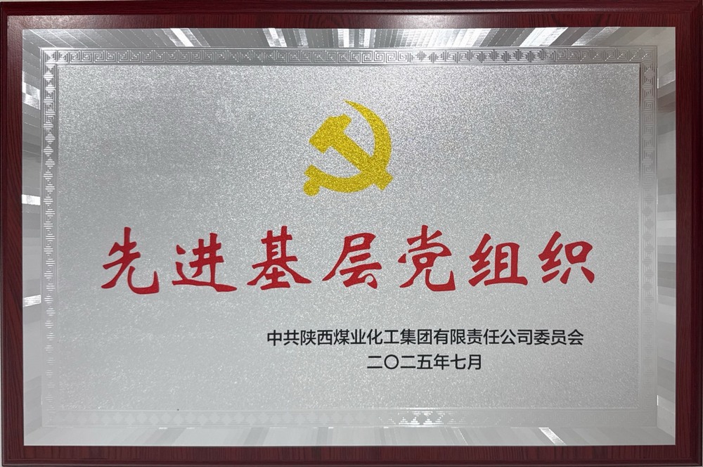 陜煤建設(shè)綠宇公司:榮獲陜煤集團(tuán)“先進(jìn)基層黨組織”稱號