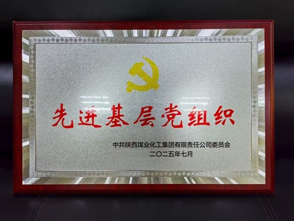 陜煤建設(shè)煤礦運(yùn)營服務(wù)分公司黨總支榮獲陜煤集團(tuán)“先進(jìn)基層黨組織”稱號