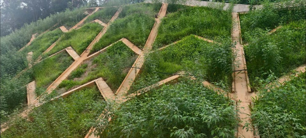 陜煤建設西北分公司:長安益陽發電有限公司2×100萬千瓦擴能升級改造項目 高邊坡支護工程順利通過竣工驗收