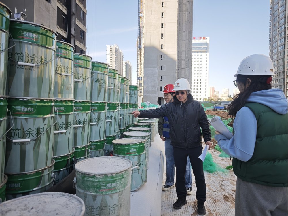 陜煤建設(shè)新城公司扎實(shí)開(kāi)展年度盤(pán)點(diǎn) 助力精細(xì)化管理提升