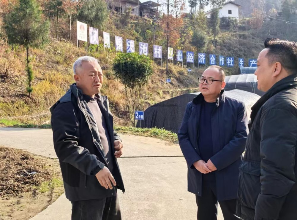 陜煤建設定點幫扶村：專家“把脈”開良方 鄉村振興煥新顏